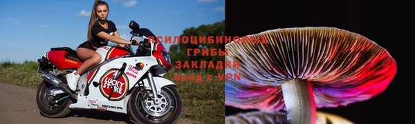 амф Аркадак