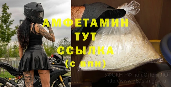 амф Аркадак